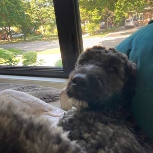 Meet your Posher, Emma